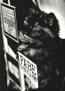 「Enter the Mirror / 著者：中藤毅彦　編集者：津田基　装丁者：秋山伸」画像12