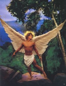 「LACHAPELLE LAND / Photo: David LaChapelle　Cover and Box Design: Tadanori Yokoo」画像4