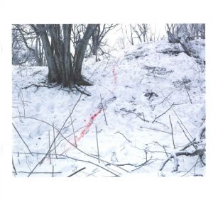 「TRAILS【SPECIAL EDITION WITH PRINT】 / 著：ホンマタカシ」画像8