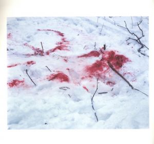 「TRAILS【SPECIAL EDITION WITH PRINT】 / 著：ホンマタカシ」画像9