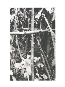 「UNTIL I BREAK / Photo, Text: Thomas Sing」画像3