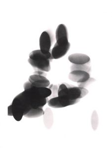 「Photographisme: William Klein, Gérard Ifert, Wojciech Zamecznik / Author: William Klein, Gérard Ifert, Wojciech Zamecznik」画像2