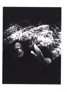 「Photographisme: William Klein, Gérard Ifert, Wojciech Zamecznik / Author: William Klein, Gérard Ifert, Wojciech Zamecznik」画像13