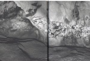 「Chauvet Pont-d'Arc, L'inappropriable / Raphaël Dallaporta」画像4