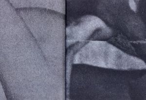 「HARDCORE【SPECIAL EDITION WITH PRINT】 / Tiane Doan na Champassak」画像4