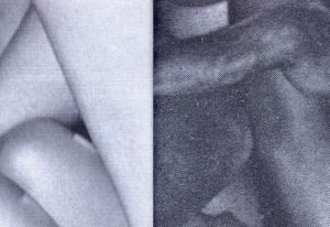「HARDCORE【SPECIAL EDITION WITH PRINT】 / Tiane Doan na Champassak」画像11