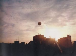 「島袋道浩：夜明けの鳥と / 著：島袋道浩」画像5