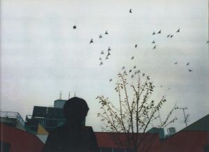 「島袋道浩：夜明けの鳥と / 著：島袋道浩」画像7