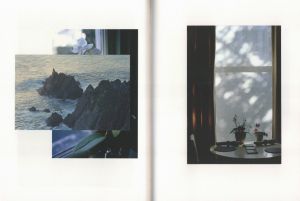 「Speaking of Scars / Photo, Bok Design: Teresa Eng」画像2