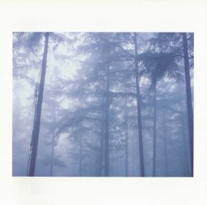 「Louis Vuitton Forest ルイ・ヴィトンの森 / 瀧本幹也」画像1