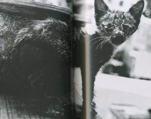 「HONG KONG  1995-1997　香港 / 山内道雄」画像6