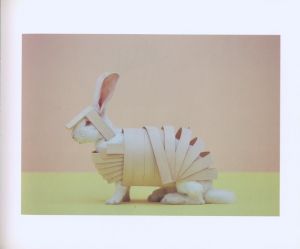 「HEIAN / Composition: Seiju Toda Introduction: Vicki Goldberg」画像3