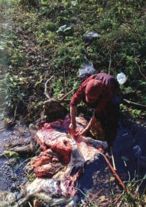 「北海道無銭旅行 / 文：服部文祥　写真：石川竜一」画像3