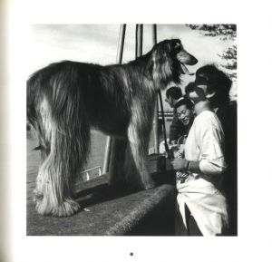 「WONDER LAND 1980-1989 / 大西みつぐ」画像8