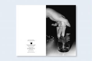 「HOW TO TOKYO AT NIGHT by Daido Moriyama / Daido Moriyama」画像10
