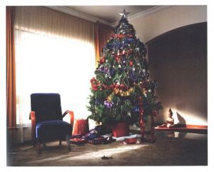 「The Christmas Tree Bucket: Trent Parke's Family Album / Trent Parke」画像1