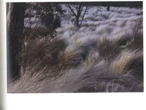 「風景の科学　芸術と科学の融合 / 写真：上田義彦」画像2