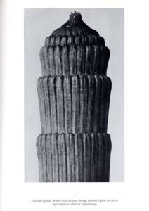 「KARL BLOSSFELDT　Art Form in Nature The Complete Edition / Photo: Karl Blossfeldt　Text: Gert Mattenklott」画像1