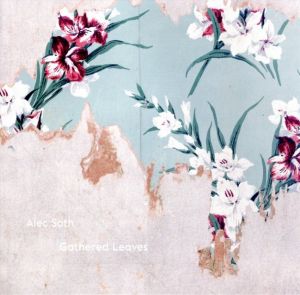 Alec Soth Gathered Leaves / Photo: Alec Soth　Text: Aaron Schuman, Kate Bush　Graphic design: Lewis Chaplin