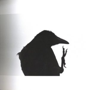 「鴉 / 写真：深瀬昌久　文：長谷川明」画像2