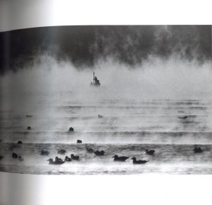 「鴉 / 写真：深瀬昌久　文：長谷川明」画像6