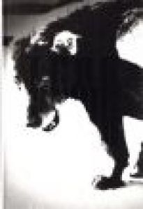 Daido Moriyama: Terayama / Photographs: Daido Moriyama　Text: Shuji Terayama