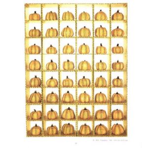 「草間彌生展 / 草間彌生　編：北九州市立美術館　装丁：山鹿真琴」画像3
