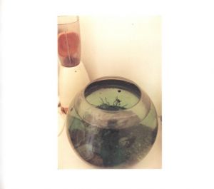 「さよならを教えて / 藤岡亜弥」画像2