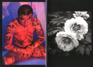 「幻花青年 / 稲嶺啓一（東風終）」画像3