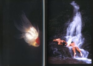 「幻花青年 / 稲嶺啓一（東風終）」画像6