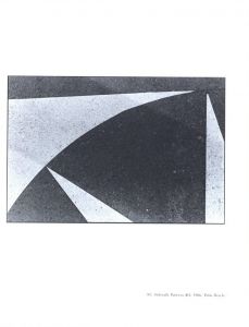 「Arnold Newman in Florida / Arnold Newman」画像6