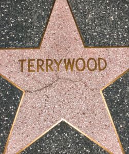 TERRYWOODのサムネール