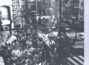 「Successive Sliding of Pleasure / Osamu Kanemura」画像2