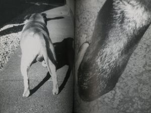 「2 / Jonathan Monk」画像5