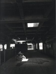 「SHIN YANAGISAWA 1958–2008 / Shin Yanagisawa」画像3